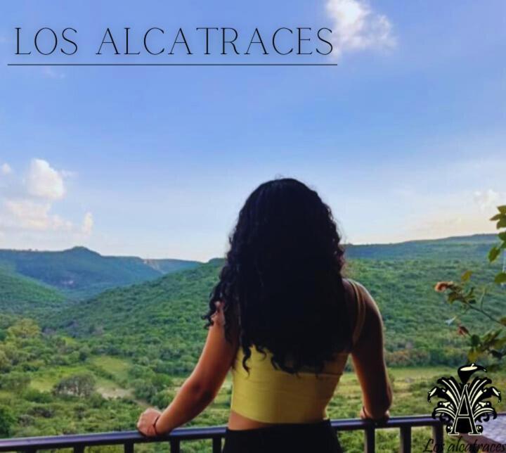 Alcatraces